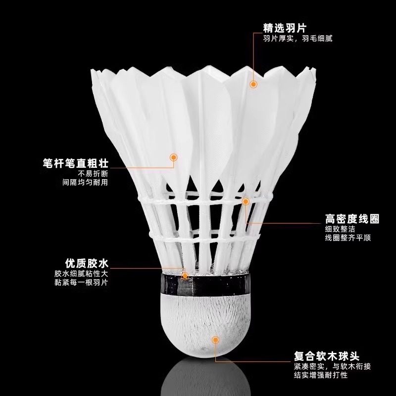 ลูกแบดมินตันขนห่าน Lion 12 แพ็ - Feather Shuttlecock บทวิจารณ์และราคา